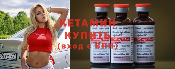 индика Богородицк