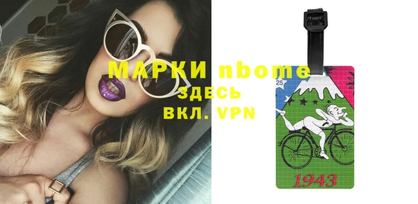 индика Богородицк