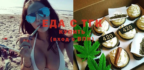 индика Богородицк