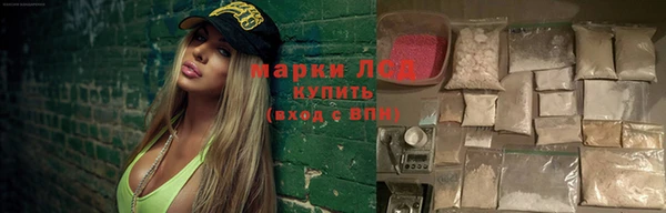 индика Богородицк