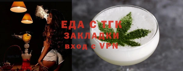 индика Богородицк