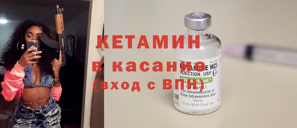 индика Богородицк