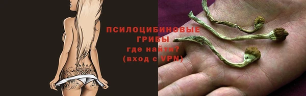 кокаин перу Богданович