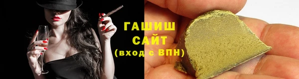 индика Богородицк