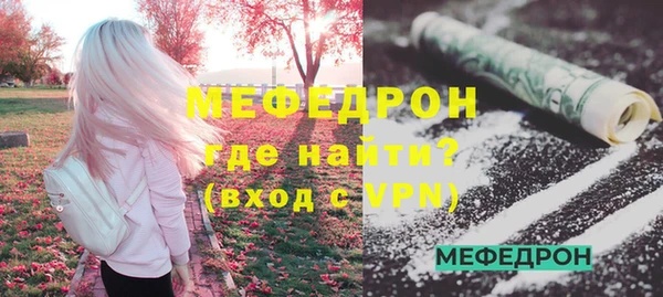 индика Богородицк