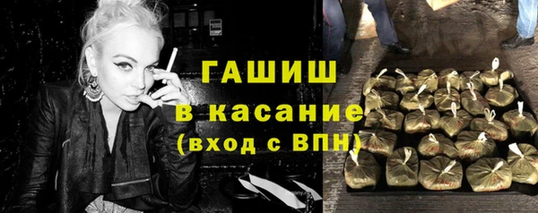 индика Богородицк