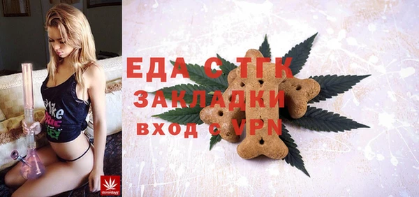 индика Богородицк