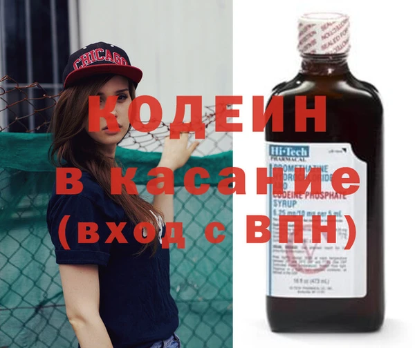 индика Богородицк