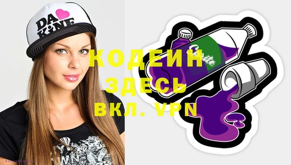 индика Богородицк