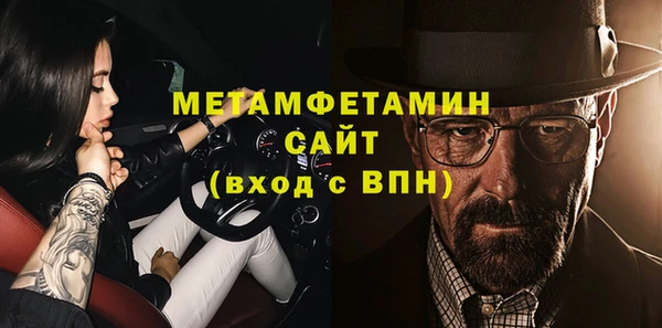 индика Богородицк