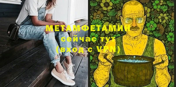 индика Богородицк