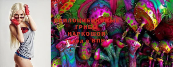 индика Богородицк