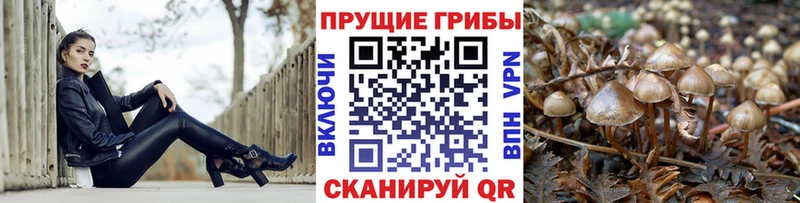 Галлюциногенные грибы Psilocybine cubensis  гидра маркетплейс  Джанкой 